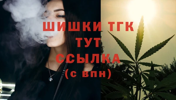 дживик Арсеньев
