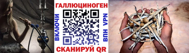 Псилоцибиновые грибы Psilocybine cubensis  цены   Палласовка 
